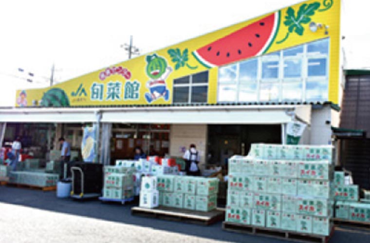 産直センター1号店(旬菜館):イメージ