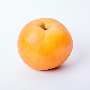 秋満月(あきみつき):イメージ