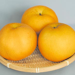 豊水(ほうすい):イメージ